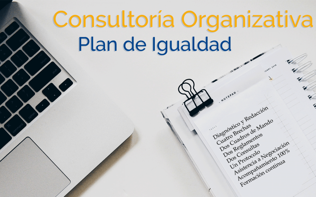 Consultoría organizativa Plan de Igualdad